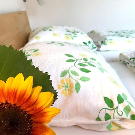 Ferienhof Biegger Tettnang Ngoại thất bức ảnh