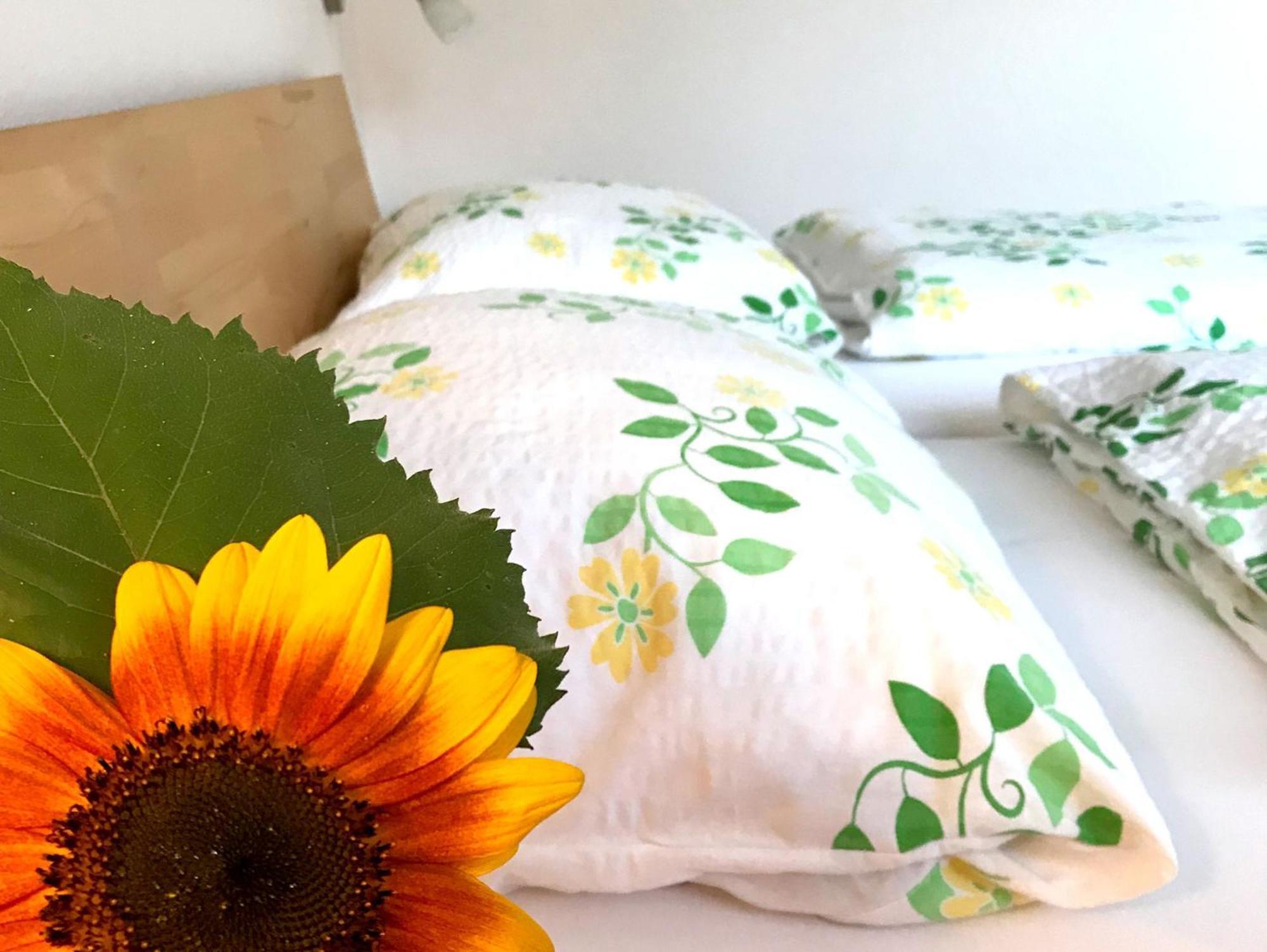 Ferienhof Biegger Tettnang Ngoại thất bức ảnh
